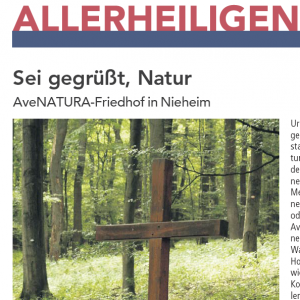 Aus Dem Mitteilungsblatt Marienmünster & Nieheim – 22. Oktober 2021